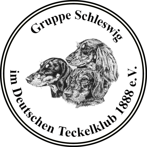 DTK Gruppe Schleswig